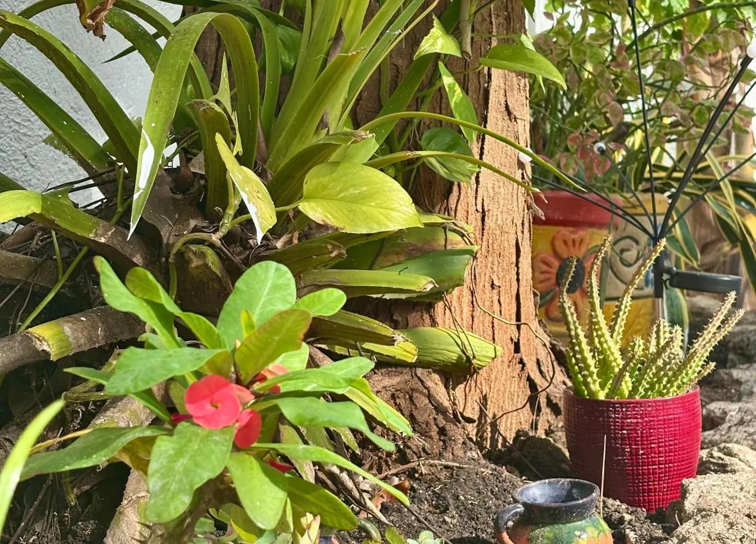 Holiday home Casa Las Palmas, Comfort And Privacy Mahahual