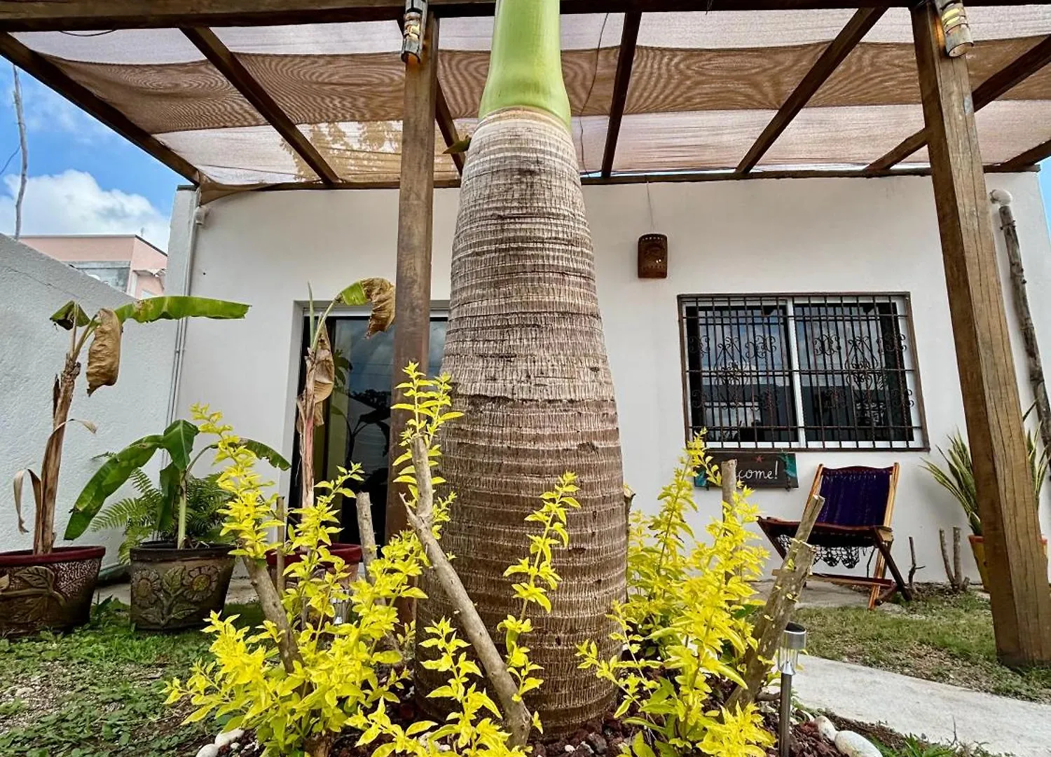 Casa Las Palmas, Comfort And Privacy Mahahual Holiday home