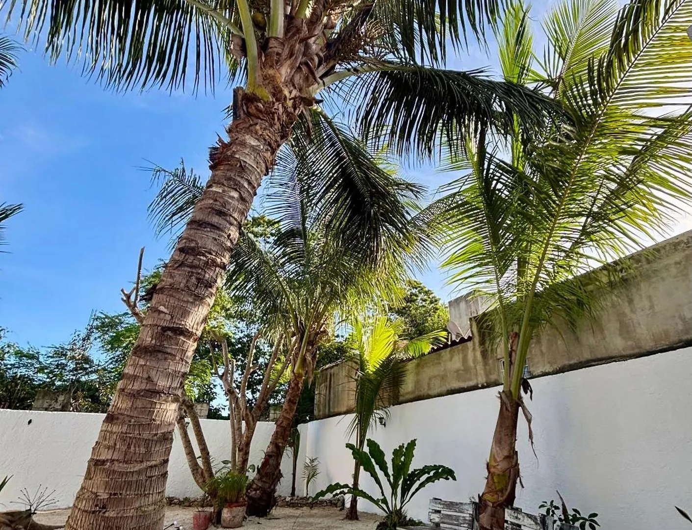 Casa Las Palmas, Comfort And Privacy Mahahual Holiday home